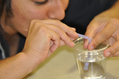Surpassing Science Expectations Across a Nation