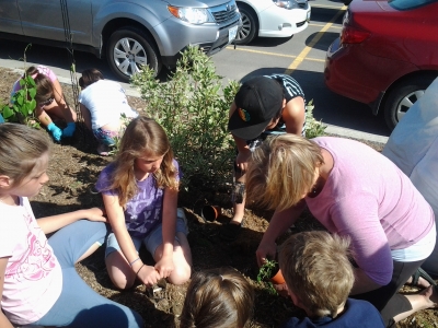 Sowing the Seeds of Friendship