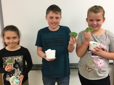 St. Francis students aim to increase their fruit and veggie intake at school